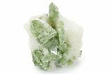 Glossy Green Diopside Crystals on Calcite - Afghanistan #354685-1